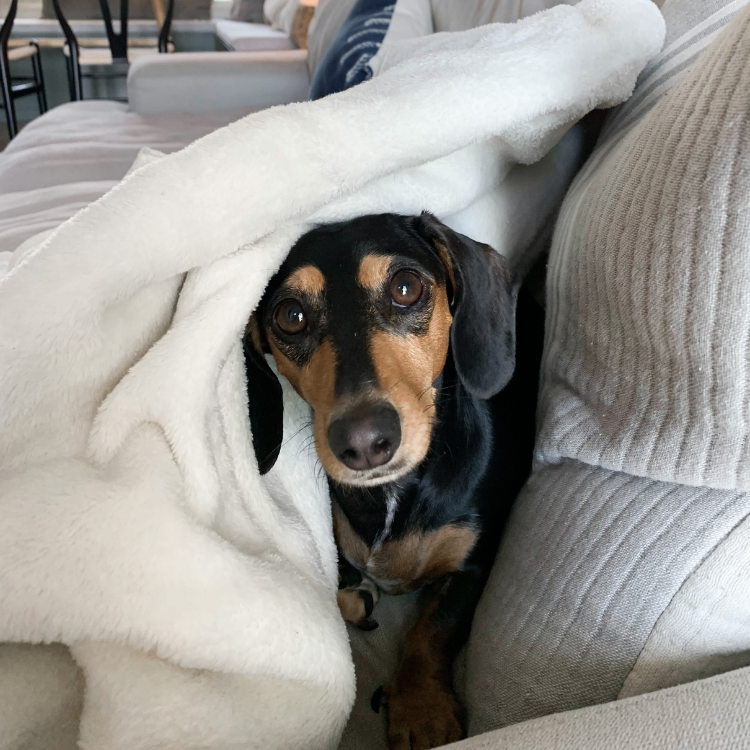 15 Hacks Dietitians Say Will Reduce Bloating Overnight