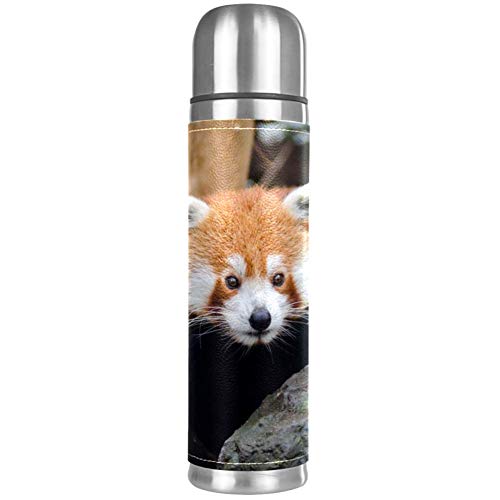 Best Thermos Insulated Bottle out of top 15