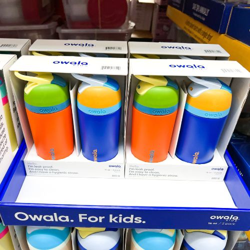 My kids love these Owala Water Bottles! Two Pack Just $21.98!