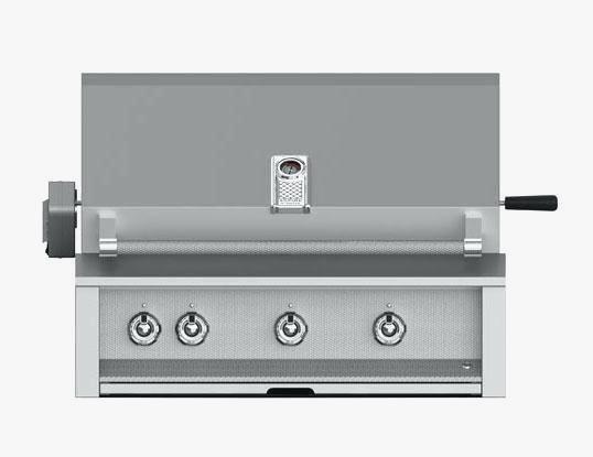 Picturesque Master Forge Gas Grill