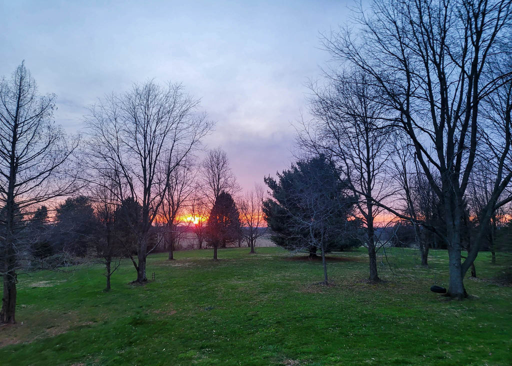 The Little Things Newsletter #358 – Life, laughter, and lots of great food!