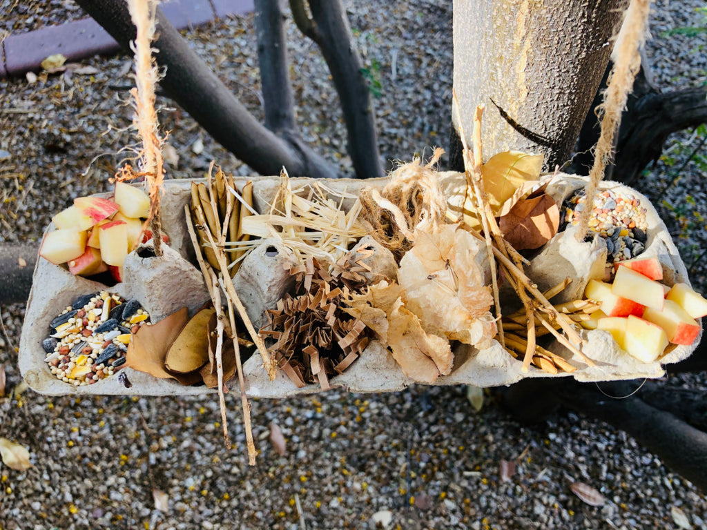 Learn how to create a Bird Nesting Material and Food Holder using an egg carton for your backyard birds this spring season!