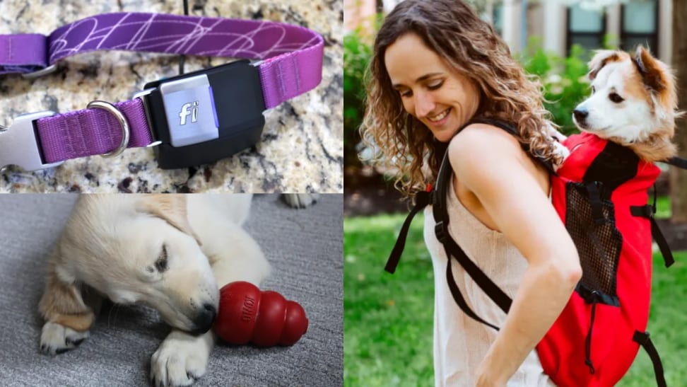 50 perfect gifts for dog lovers and owner