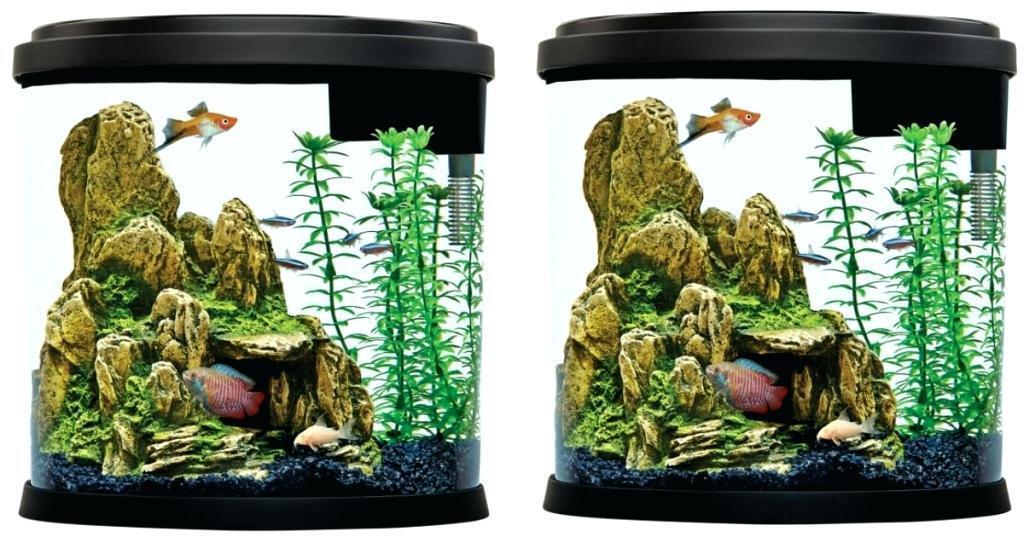 Perfect Concept Top Fin Fish Tank