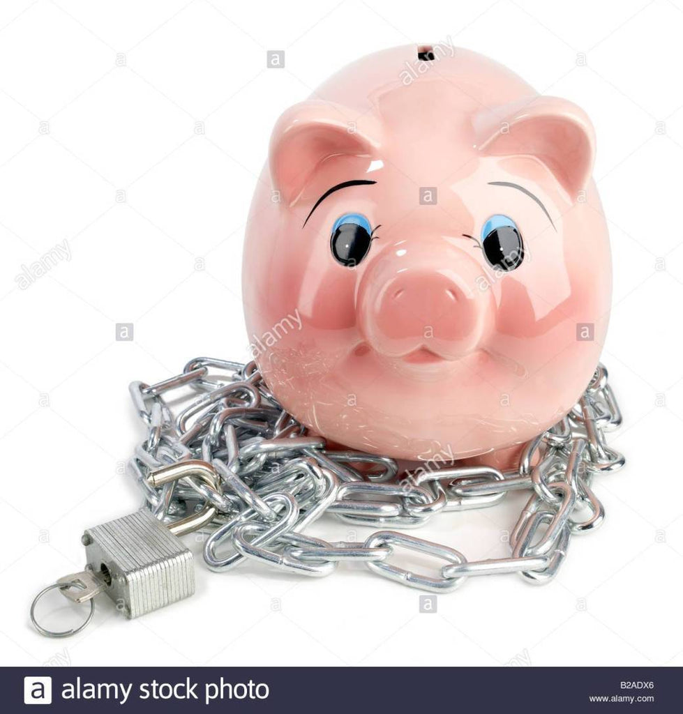 Scenic Piggy Bank With Lock