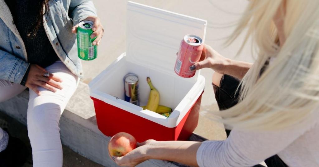 Up to 50% Off Igloo Coolers on Walmart.com or Target.com – Prices from $10.88 (Reg. $20)