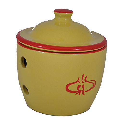 23 Best Garlic Keepers