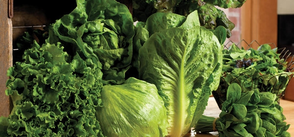 'Fresh Versus Frozen Food: Which Is More Nutritious?'