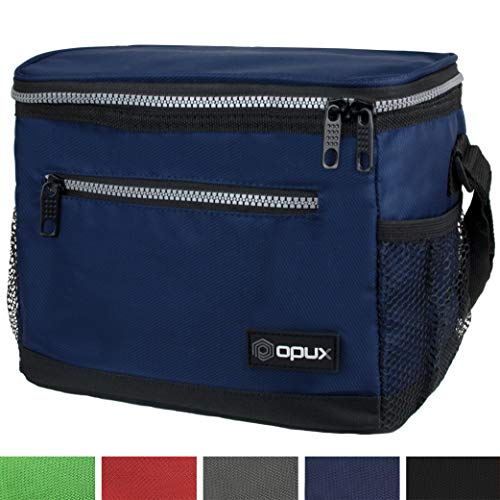 23 Top Lunch Cooler Totes