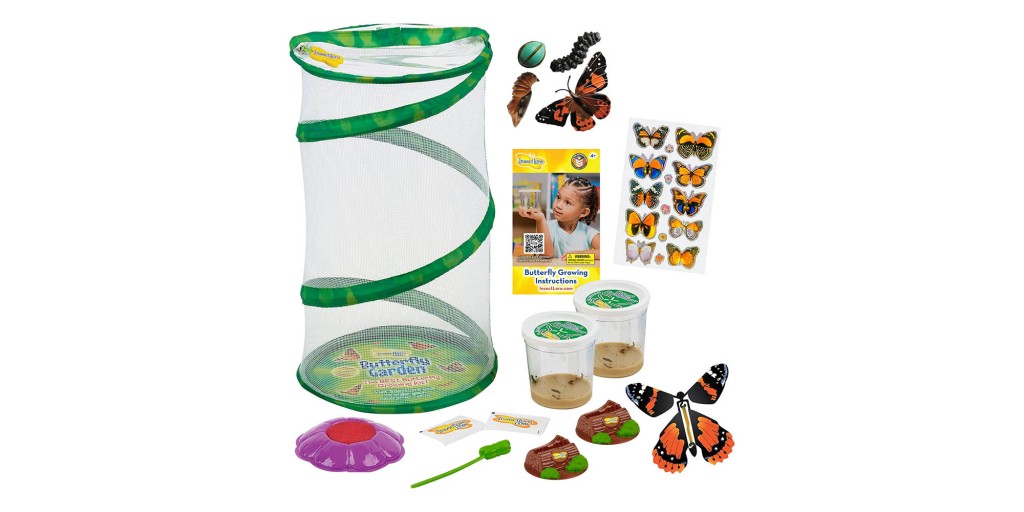 Insect Lore’s Mini Butterfly Garden Kit comes with two caterpillar cups at low of $34.50, more