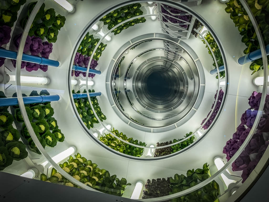 Inside Look: Space 220 Restaurant at EPCOT – Walt Disney World – Spring 2023