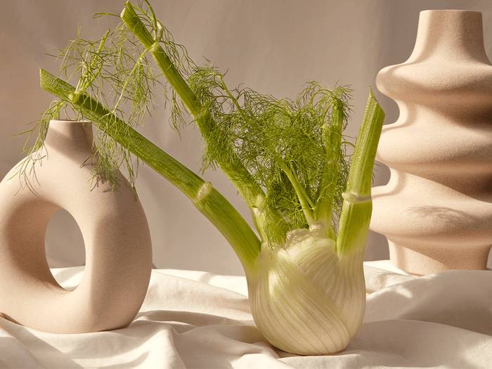 Why You May Want to Add Fennel to Your Veggie Rotation